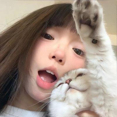 萌宠特工队